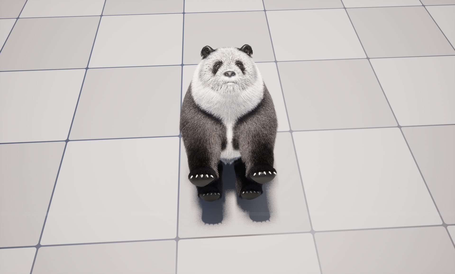 GiantPanda_ (12)