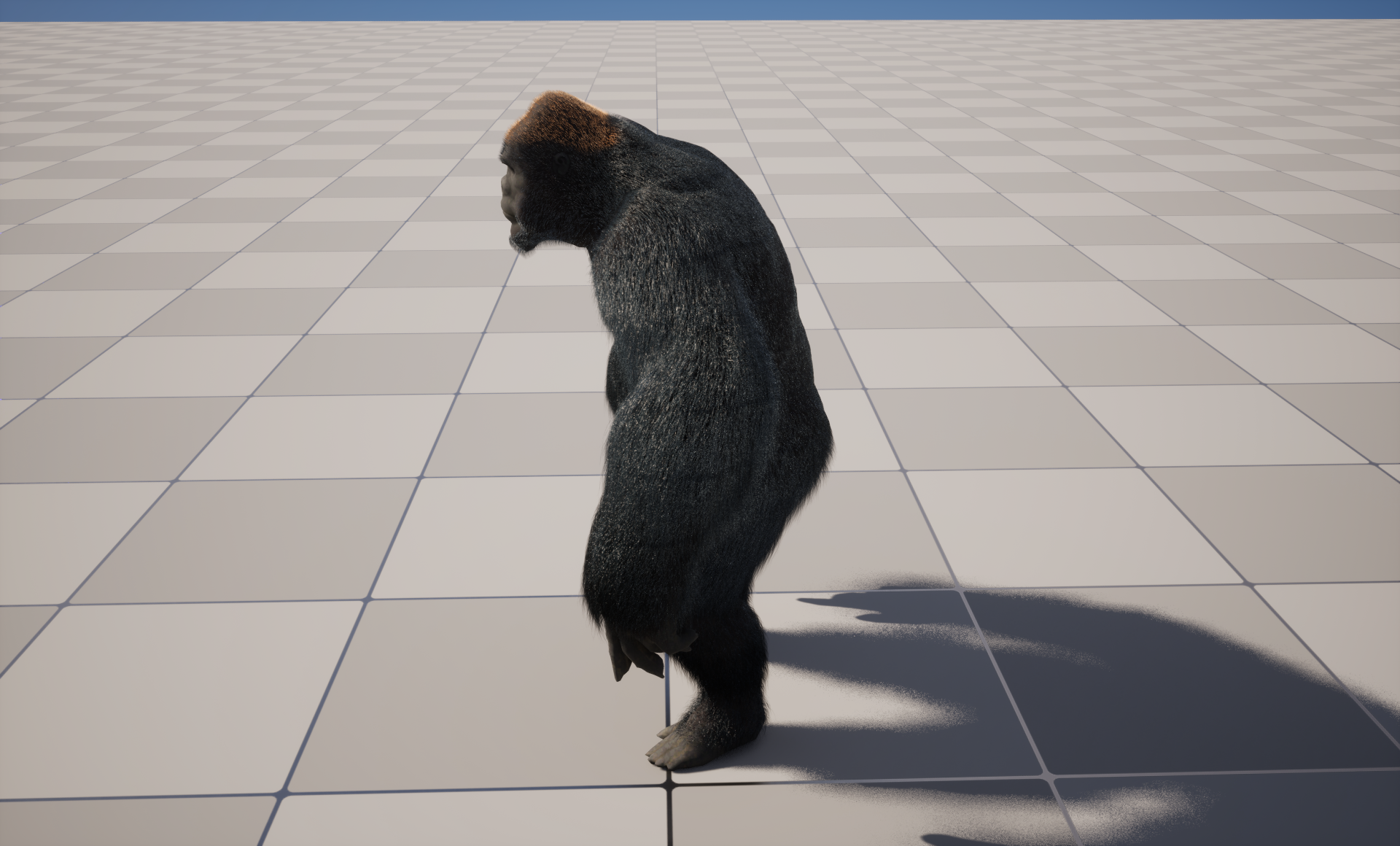 gorilla_ (6)