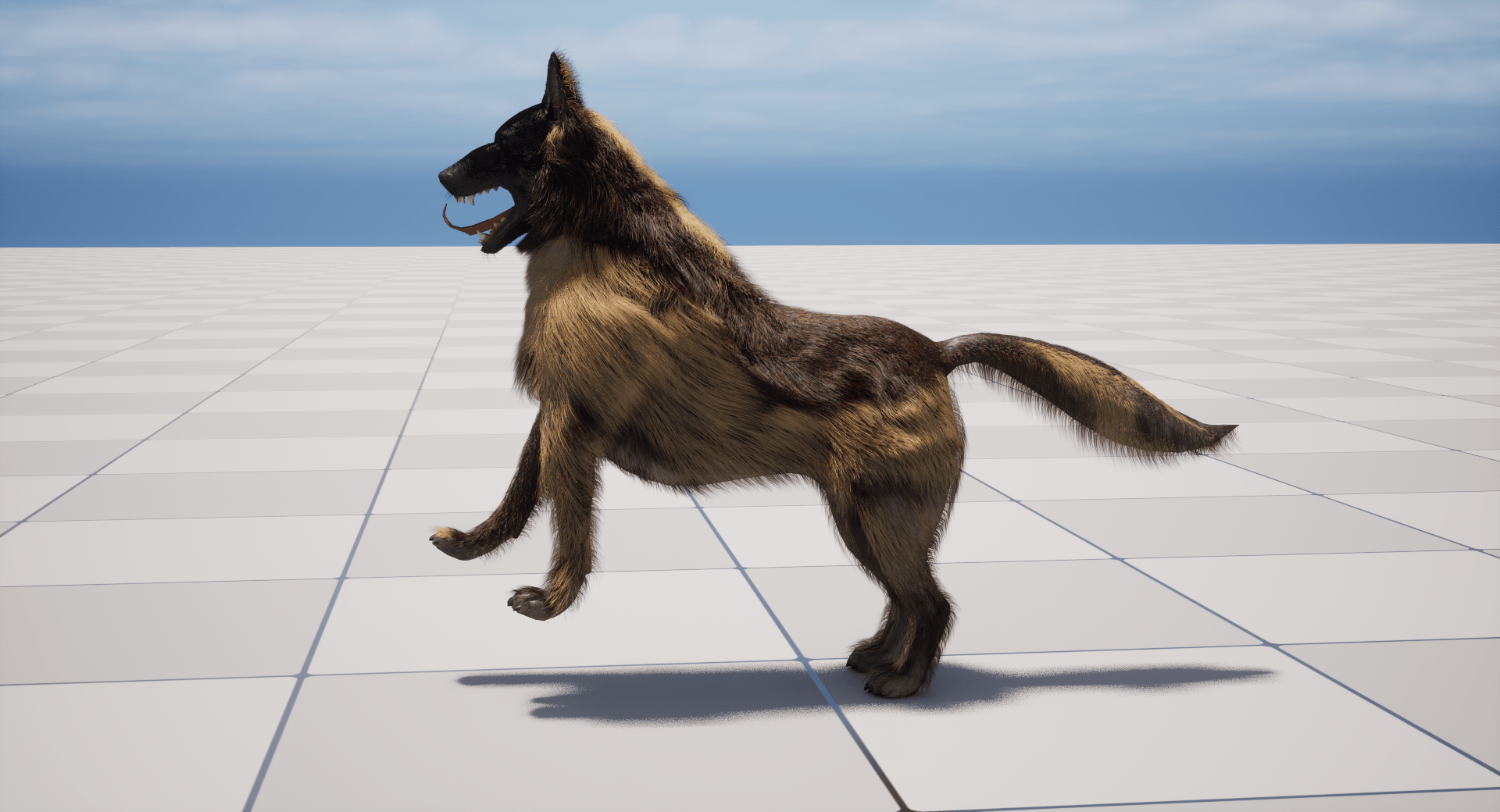 shepherd_ (11)