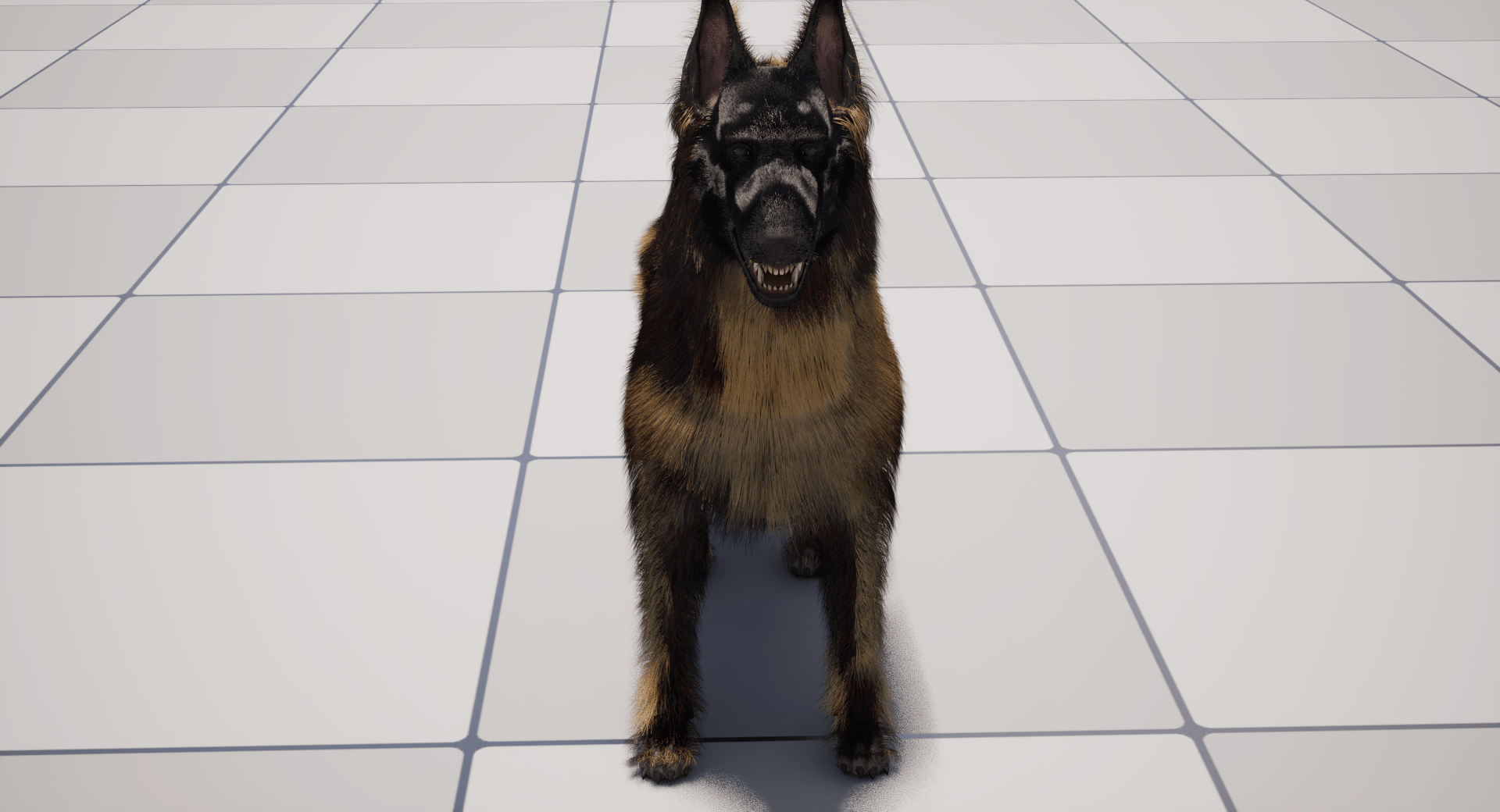 shepherd_ (8)